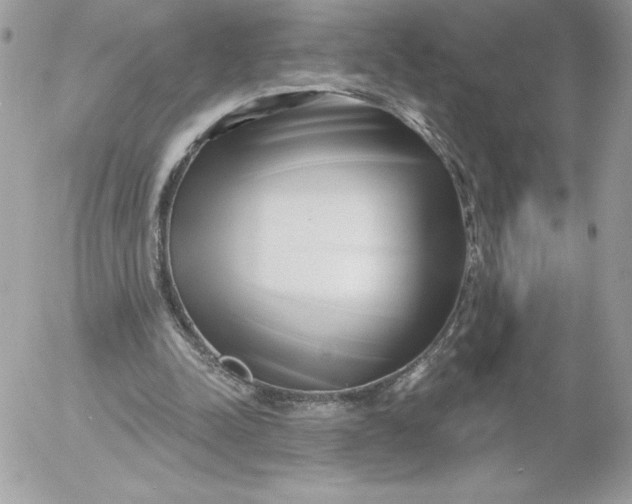 X0000052940342200507221152