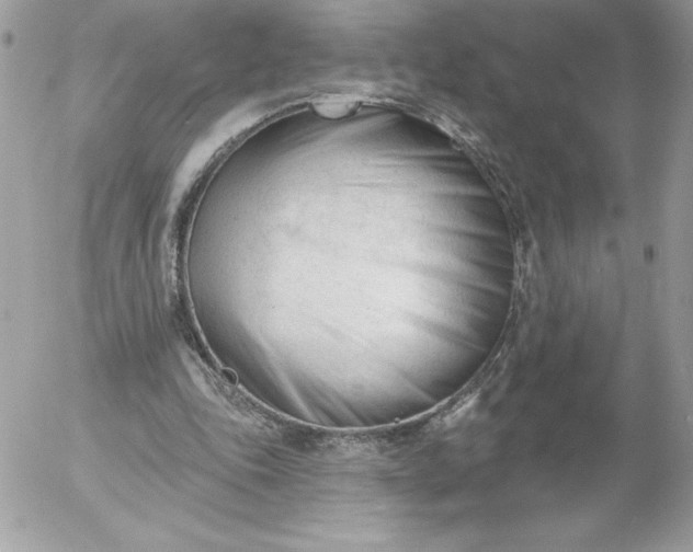 X0000052940343200507221152