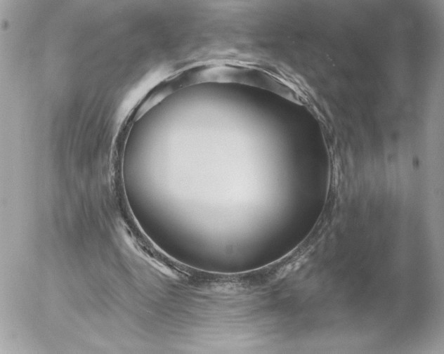 X0000052940344200507221152