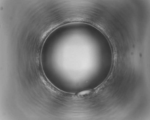 X0000052940345200507221152