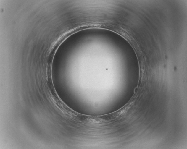 X0000052940346200507221152