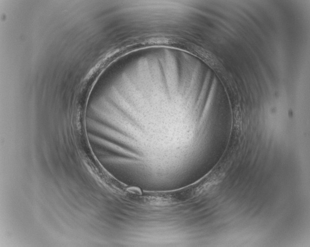 X0000052940347200507221152