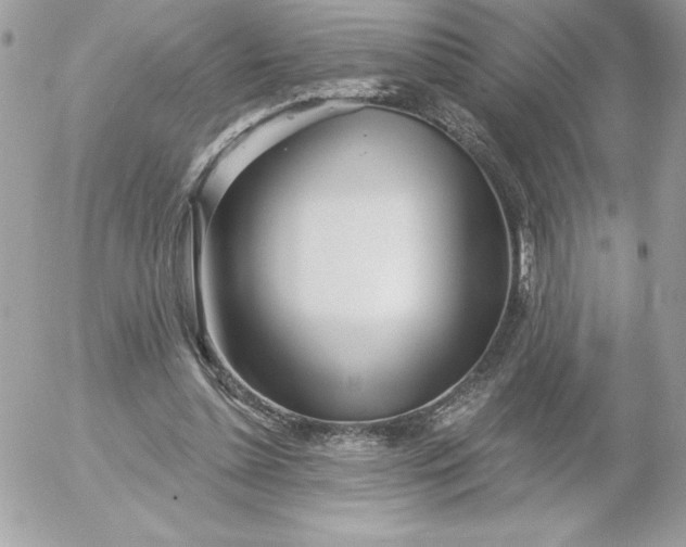 X0000052940348200507221152