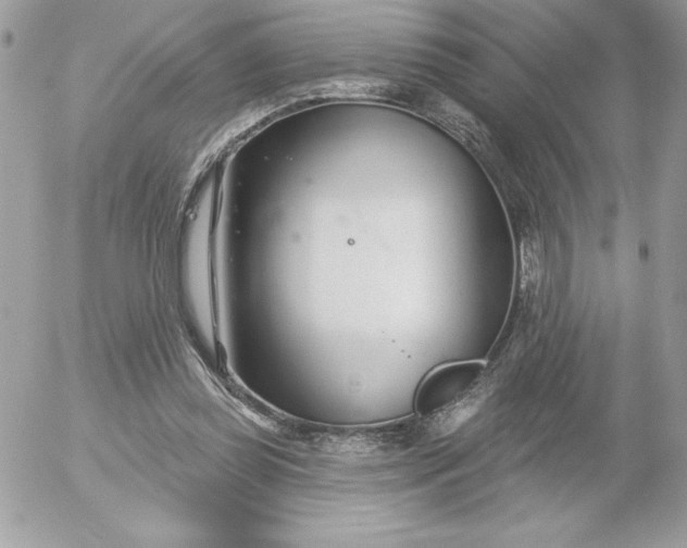 X0000052940349200507221152