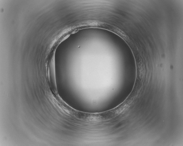 X0000052940350200507221152