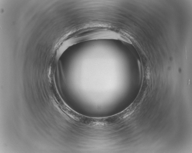 X0000052940352200507221152