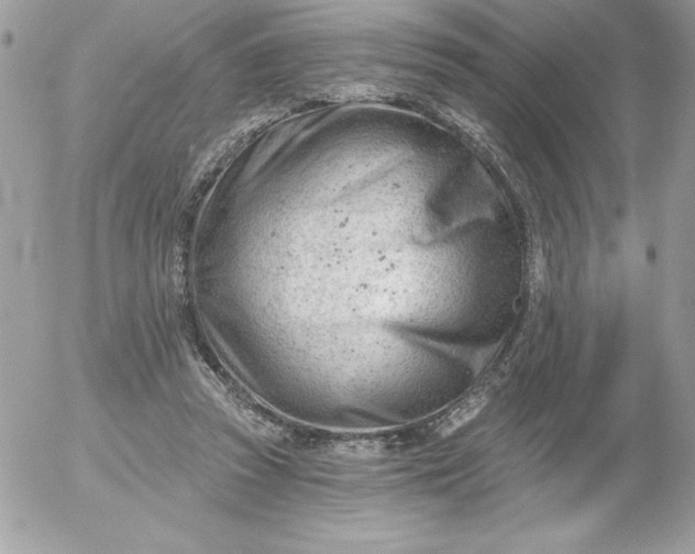 X0000052940353200507221152