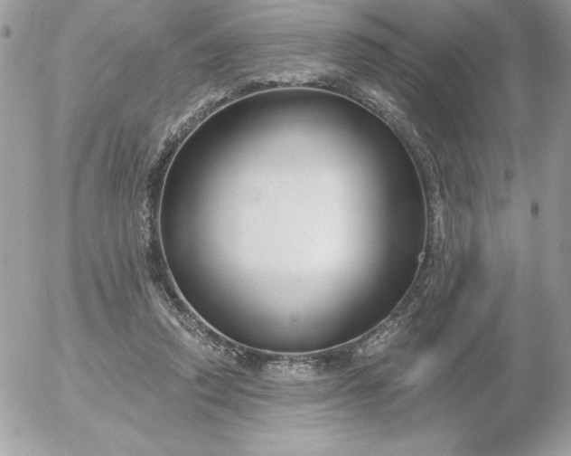 X0000052940354200507221152