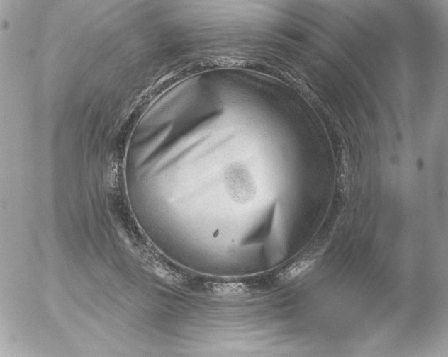 X0000052940355200507221152