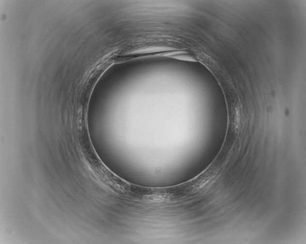 X0000052940356200507221152