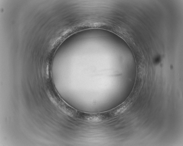 X0000052940358200507221152