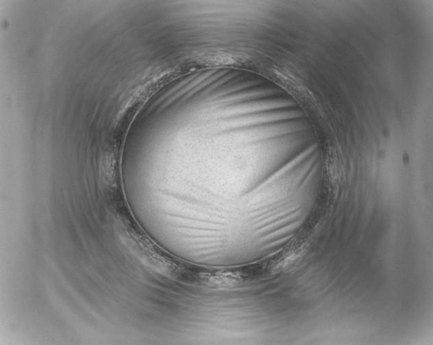 X0000052940359200507221152