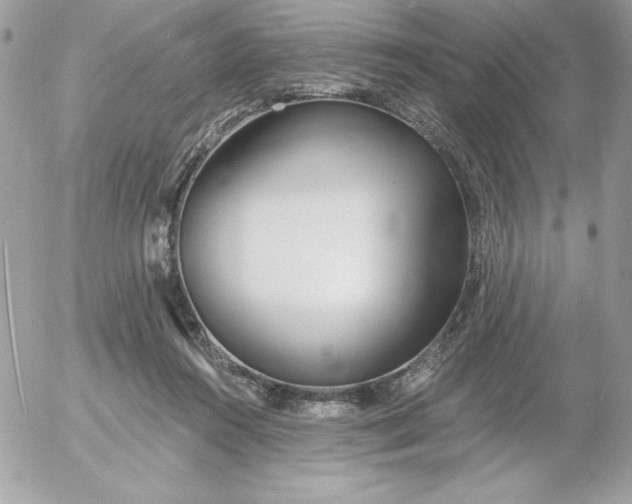 X0000052940360200507221152