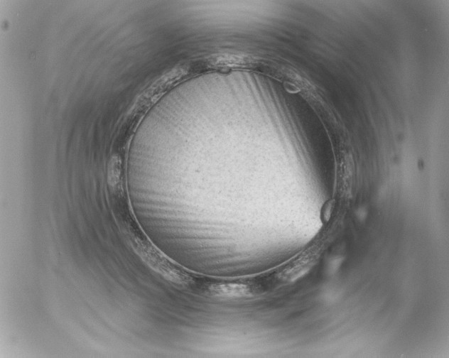 X0000052940361200507221152