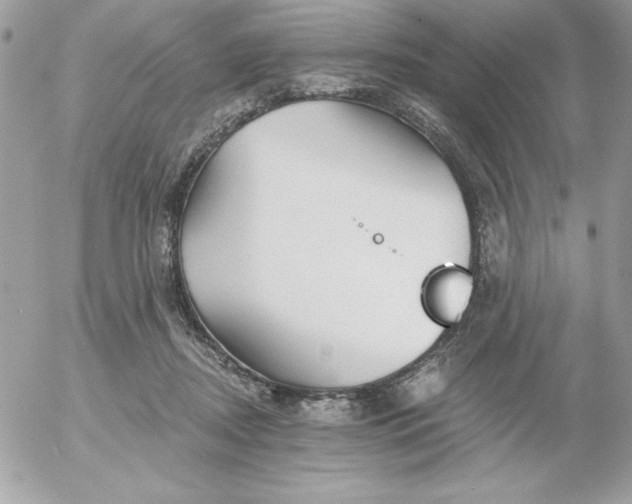 X0000052940362200507221152