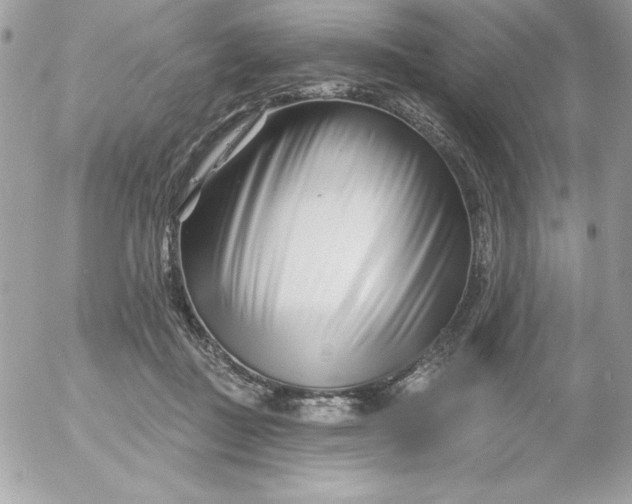 X0000052940363200507221152