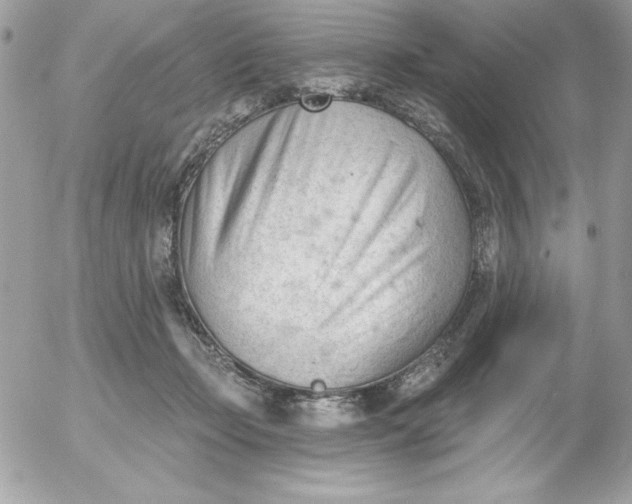 X0000052940365200507221152