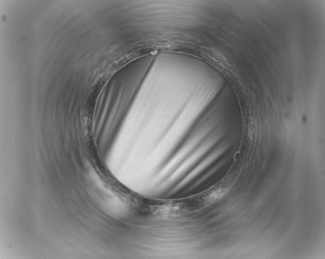 X0000052940366200507221152