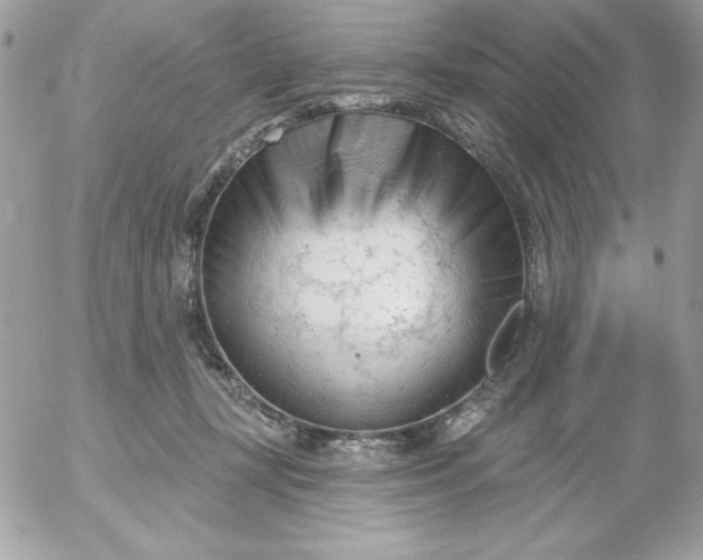 X0000052940367200507221152