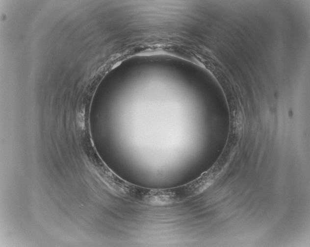 X0000052940368200507221152