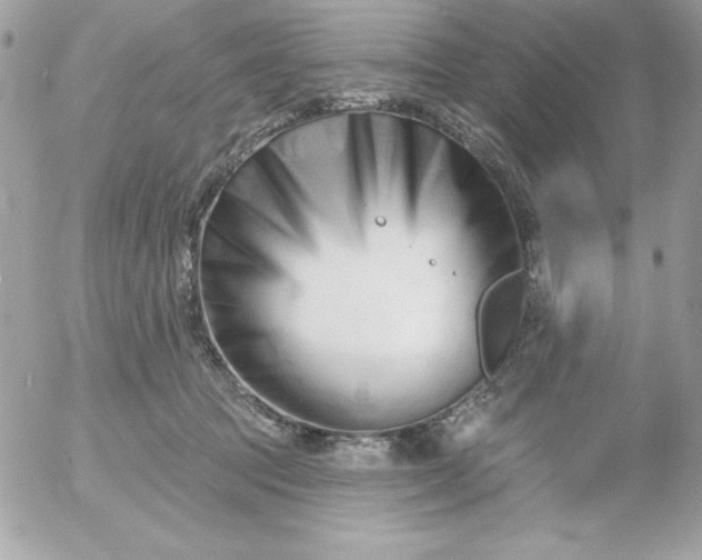 X0000052940369200507221152