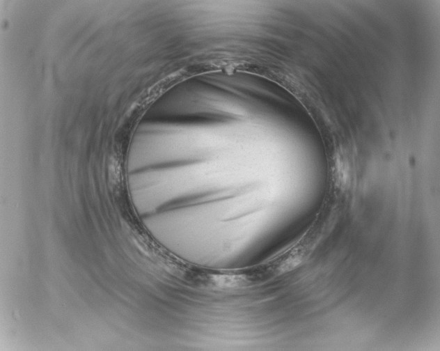 X0000052940371200507221152