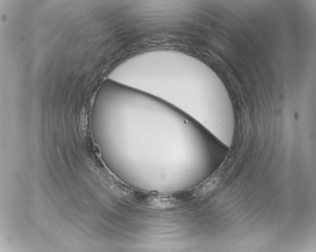 X0000052940372200507221152