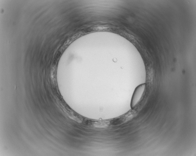 X0000052940373200507221152