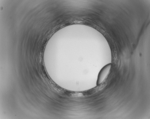 X0000052940374200507221152