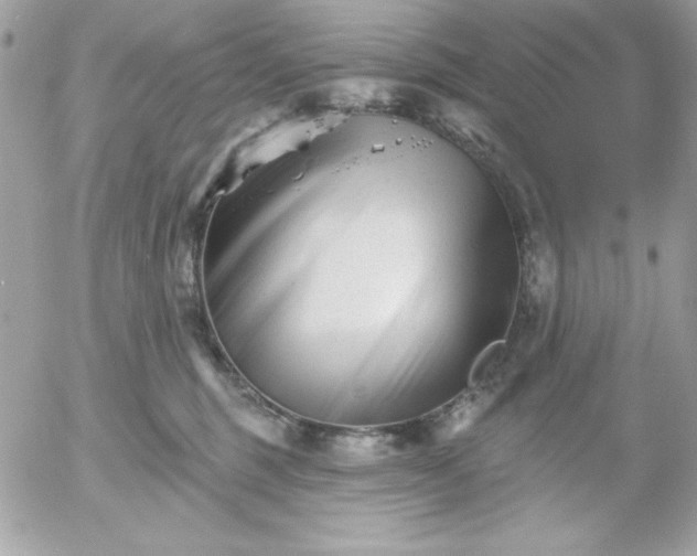 X0000052940375200507221152