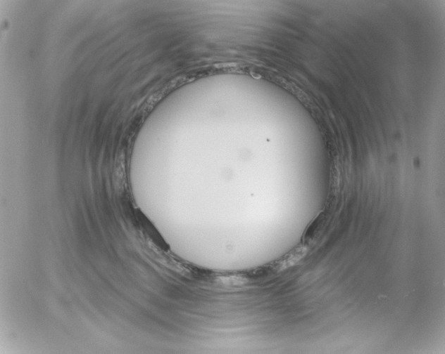 X0000052940376200507221153