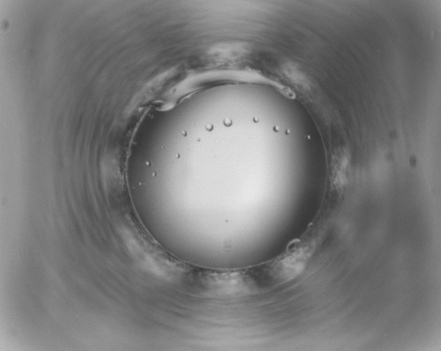 X0000052940377200507221153