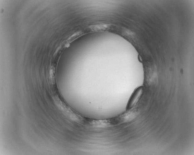 X0000052940378200507221153