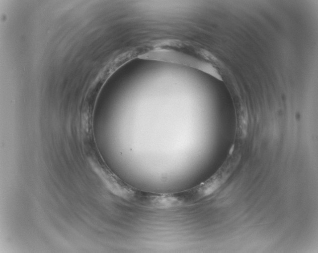 X0000052940379200507221153