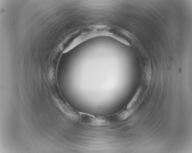 X0000052940380200507221153