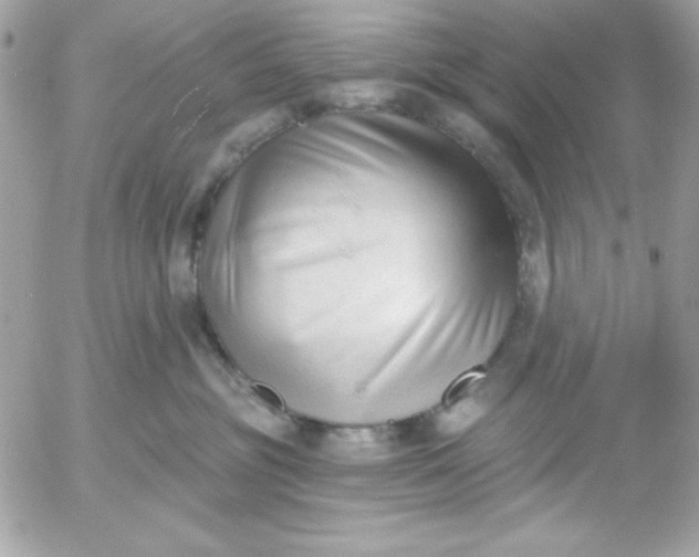 X0000052940381200507221153