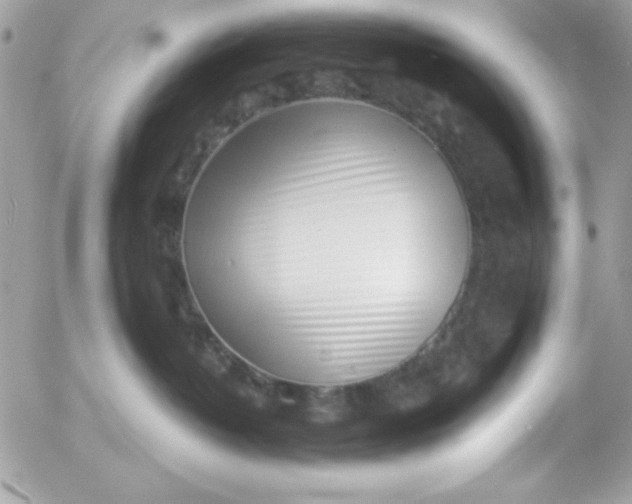 X0000052940382200507221153