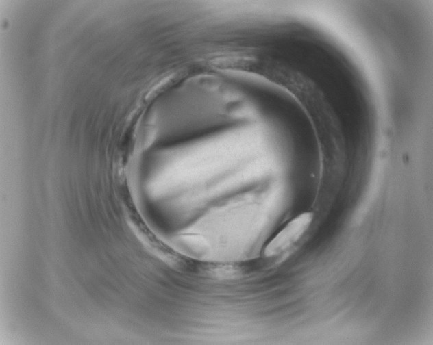 X0000052940383200507221153