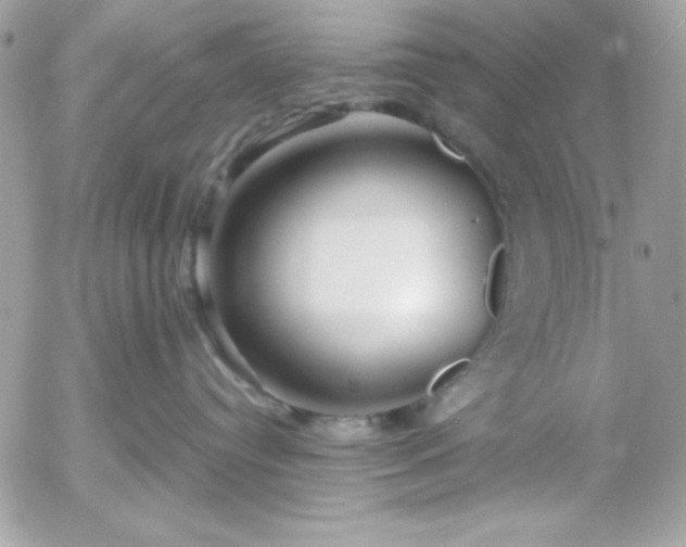 X0000052940384200507221153