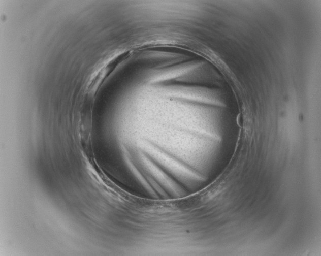 X0000052940386200507221152