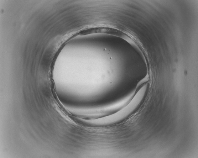 X0000052940389200507221152