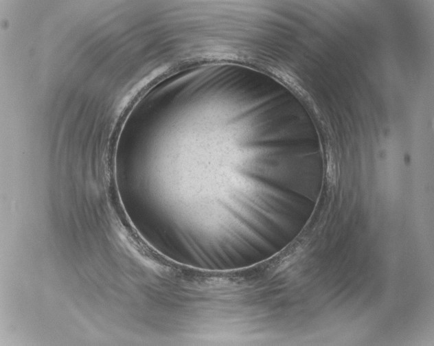 X0000052940390200507221152