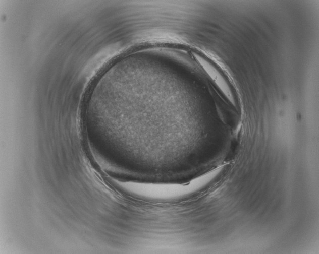 X0000052940391200507221152