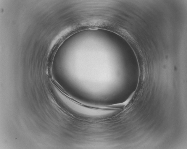 X0000052940392200507221152