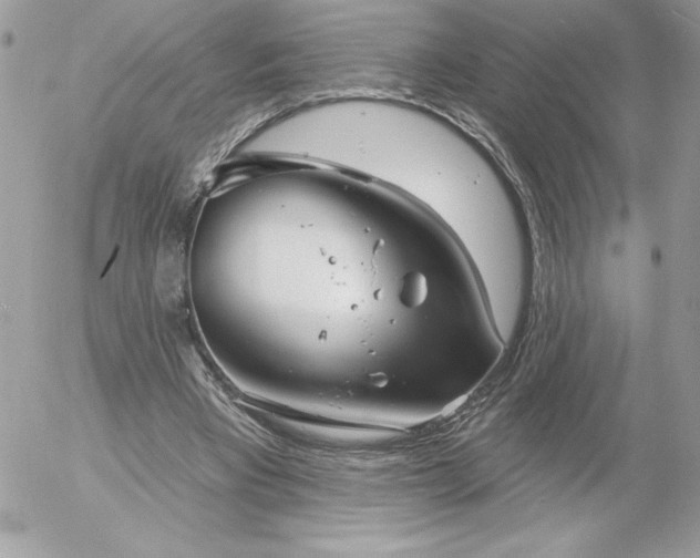 X0000052940393200507221152