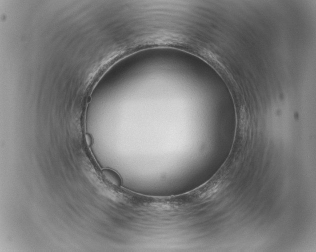 X0000052940394200507221152