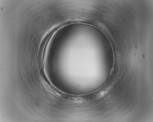 X0000052940395200507221152