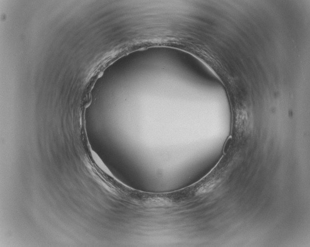 X0000052940397200507221152