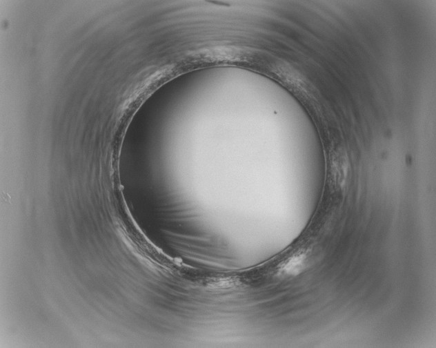 X0000052940398200507221152