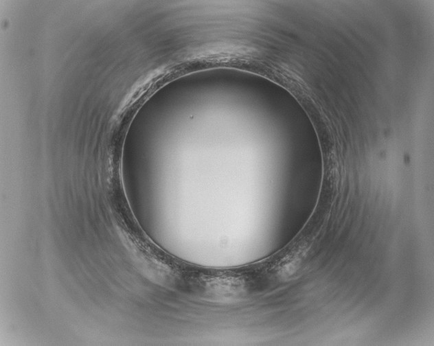 X0000052940400200507221152